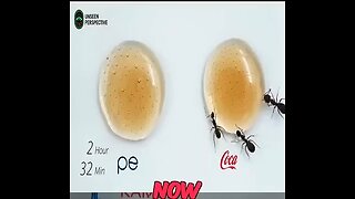 Do Ants Prefer Coke or Pepsi?