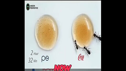 Do Ants Prefer Coke or Pepsi?