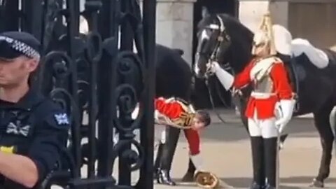 Guard drops his helmet on the dismount #horseguardsparade