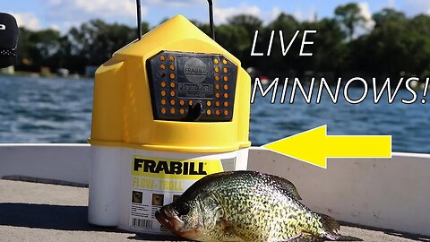 Catching Crappie on LIVE minnows | How to fish a BOBBER for Crappie