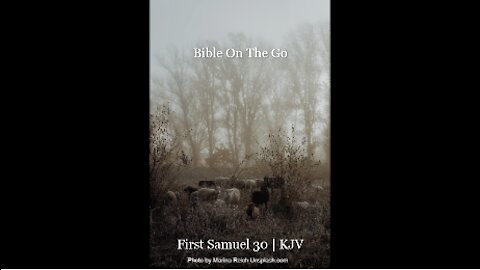 1 SAMUEL 30 | KJV