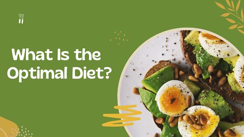 What Is the Optimal Diet?