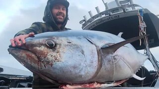 Bluefin Tuna Hokitika Trench with josh james and friends