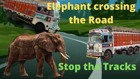 Elephant crossing the Road, And Stopped The Track