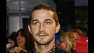 Shia LaBeouf has been charged with battery and petty theft