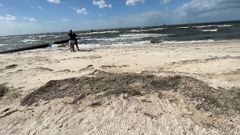 First High Winds at Cypress Beach - Tampa