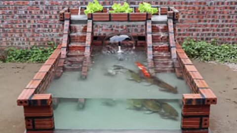 Family Aqua Park | Aquarium Design&Garden