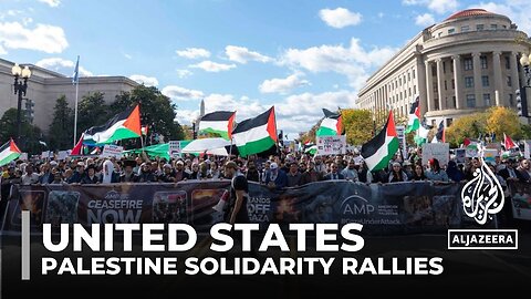 Palestine solidarity rallies_ Large crowds gather in cities across the US