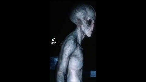 US military leaked footage of alien and human in contact