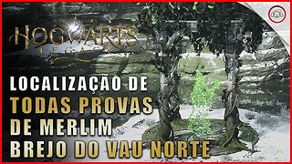 Hogwarts Legacy, A localização de todos as provas de Merlim em Brejo do Vau Norte | Super-Dica