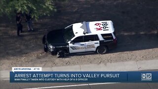 Arrest attempt turns into crash