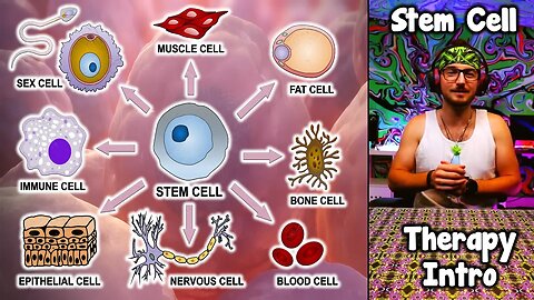 STEM Cell Adventures E1: Unveiling the Microscopic Heroes! A Fix With NO LIMITS! #HealingPowers