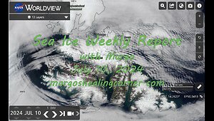 Sea Ice Weekly Report with Margo (July 10, 2024)