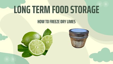 How to Freeze Dry Limes