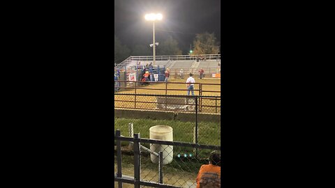 Bull Riding at Rodeo