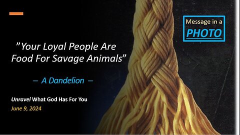 Your Loyal People Are Food for Savage Animals *Dandelion* (Jun 9, 2024)