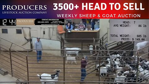 1/10/2023 - Producers Livestock Auction Company Sheep & Goat Auction