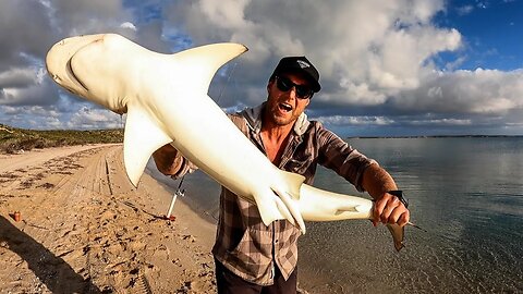 FOOD CHAIN FISHING CHALLENGE - tiny shrimp into HUGE SHARK