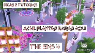 ENCONTRE PLANTAS RARAS NO FESTIVAL ROMÂNTICO THE SIMS 4|DICAS E TUTORIAIS|