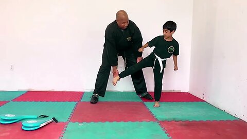 Proper Round House Kick For Junior