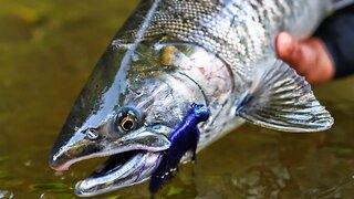 Epic Subsurface Coho Salmon Fishing Bites Caught On Camera, Part 2!