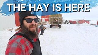 109 Bales of Hay | Can I Get It Unloaded Before Dark On My Own?