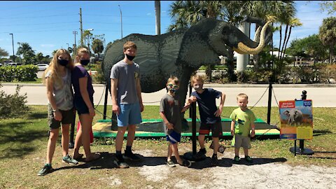 A Day at the Naples Zoo