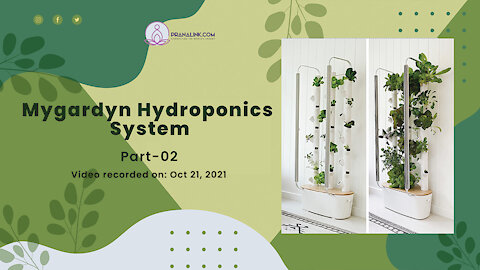 Mygardyn hydroponics system| PART 2 | PRANALINK.COM