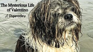 The Mysterious Life of Valentino | Dogumentary