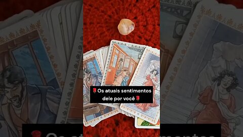 🌹Os atuais sentimentos dele por você🌹#tarotamor #conselhodotarot #leituradetarot