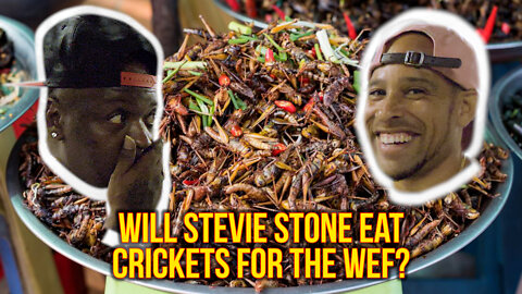 will STEVIE STONE eat CRICKETS for CLIMATE CHANGE!? Black Pegasus World Economic Forum interview