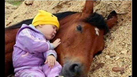 Cavalos e bebê fofos 👶🦄 bebê engraçados e compilação de animais