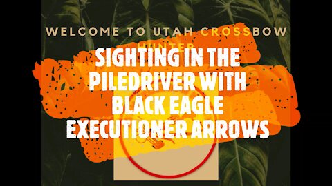 SIGHTING IN MY PILEDRIVER WITH THE EXECUTIONER ARROW