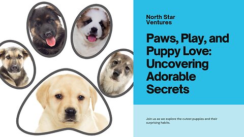 Paws, Play, and Puppy Love: Uncovering Adorable Secrets