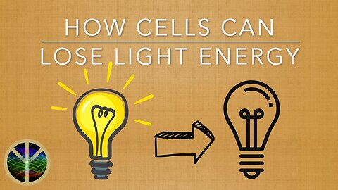 How Cells Can Lose Light Energy