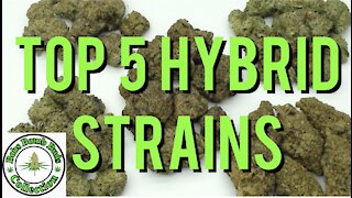 Cannabis, Top 5 Hybrid Marijuana Strains