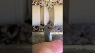 DIY Satisfying Accurate Wood Carving