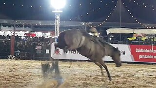 EXPO ARTUR 2022 MONTARIA EM CAVALOS 20/10/22 (P12)