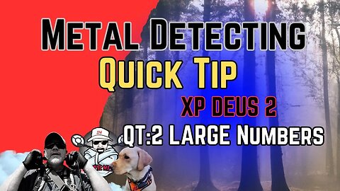XP Deus II Quick Tip: Turning on Large Number Display (2 ways Explained).