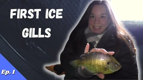 First Ice Bluegills on Small Lake! | Wisconsin Ice Fishing