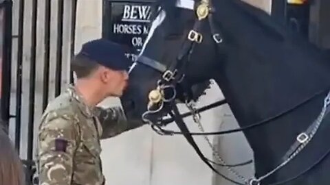 soldier kisses the kings guards horse #thekingsguard