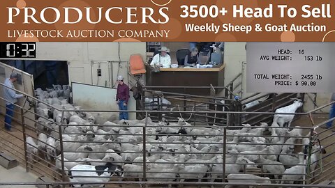 12/20/2022 - Producers Livestock Auction Company Sheep & Goat Auction