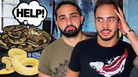 We Rescued 8 Abandoned Snakes in Miami
