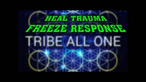 HEAL FREEZE RESPONSE FROM TRAUMA WITH THIS GUIDED TECHNIQUE/MEDITATION | From Tribe All One Series