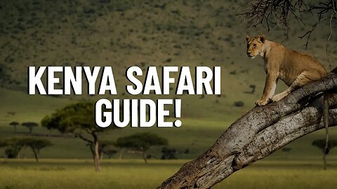 5 Things To Know Before Your First Visit To Kenya - Travel Video