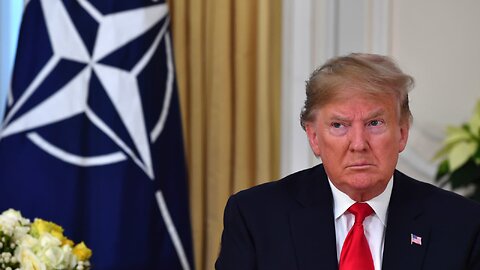 Comander Trump's House-Broken Senators Defend His Attacks on NATO