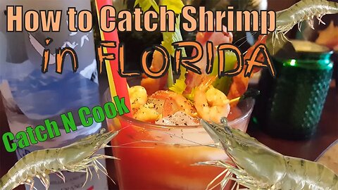 3 T's to Catch Shrimp in Florida | Bloody Mary Catch N Cook