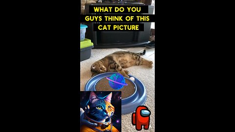 Cute Cat Gif