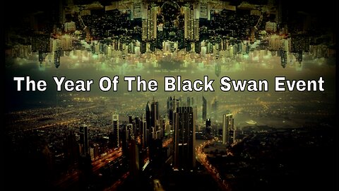 Welcome To 2024: The Year Of The Black Swan Event