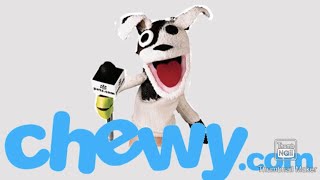 How to navigate Chewy Website by B&D Product & Food Review